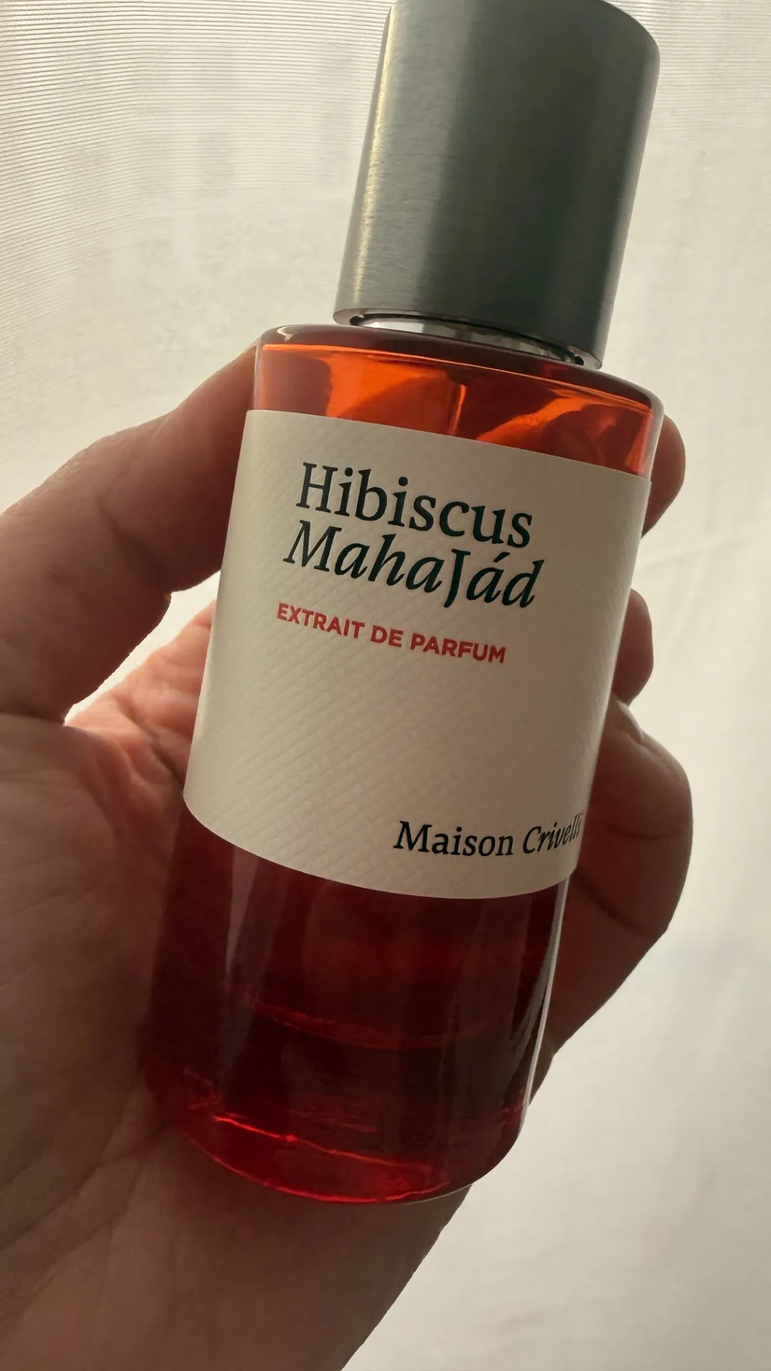 HIBISCUS MAHAJAD