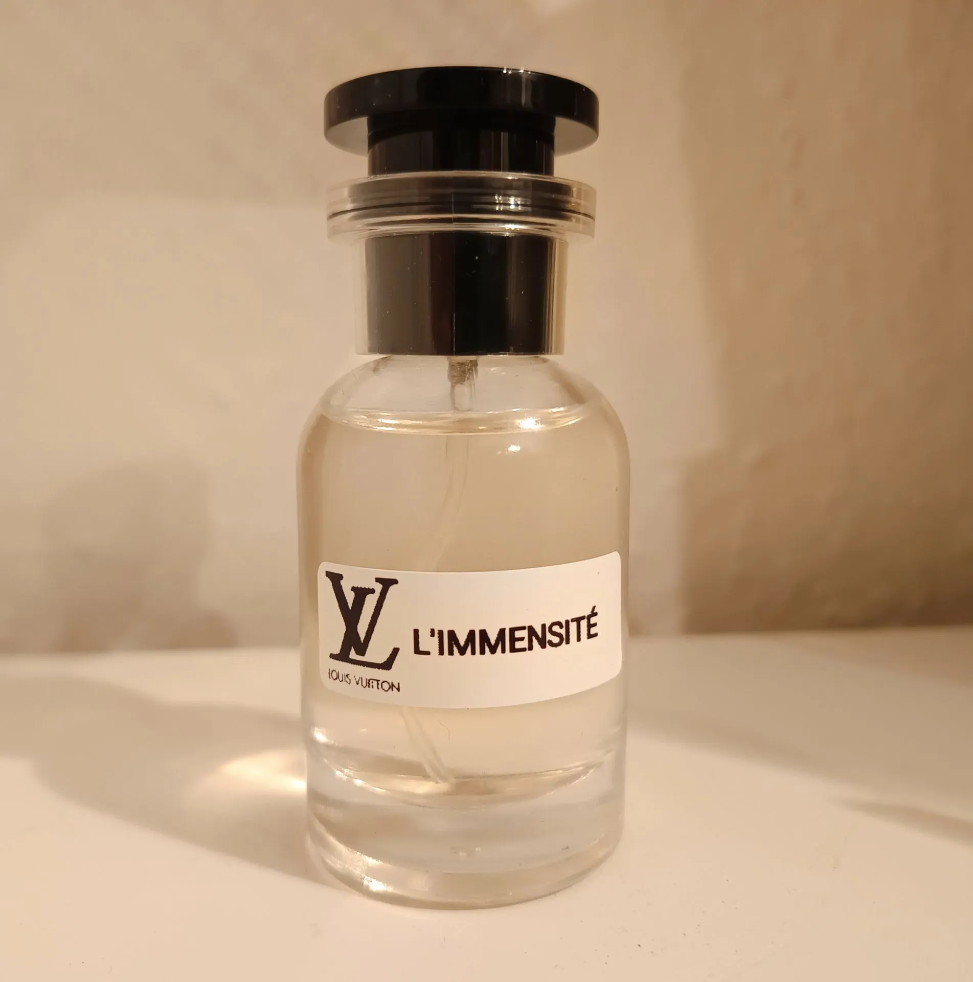 L'Immensite