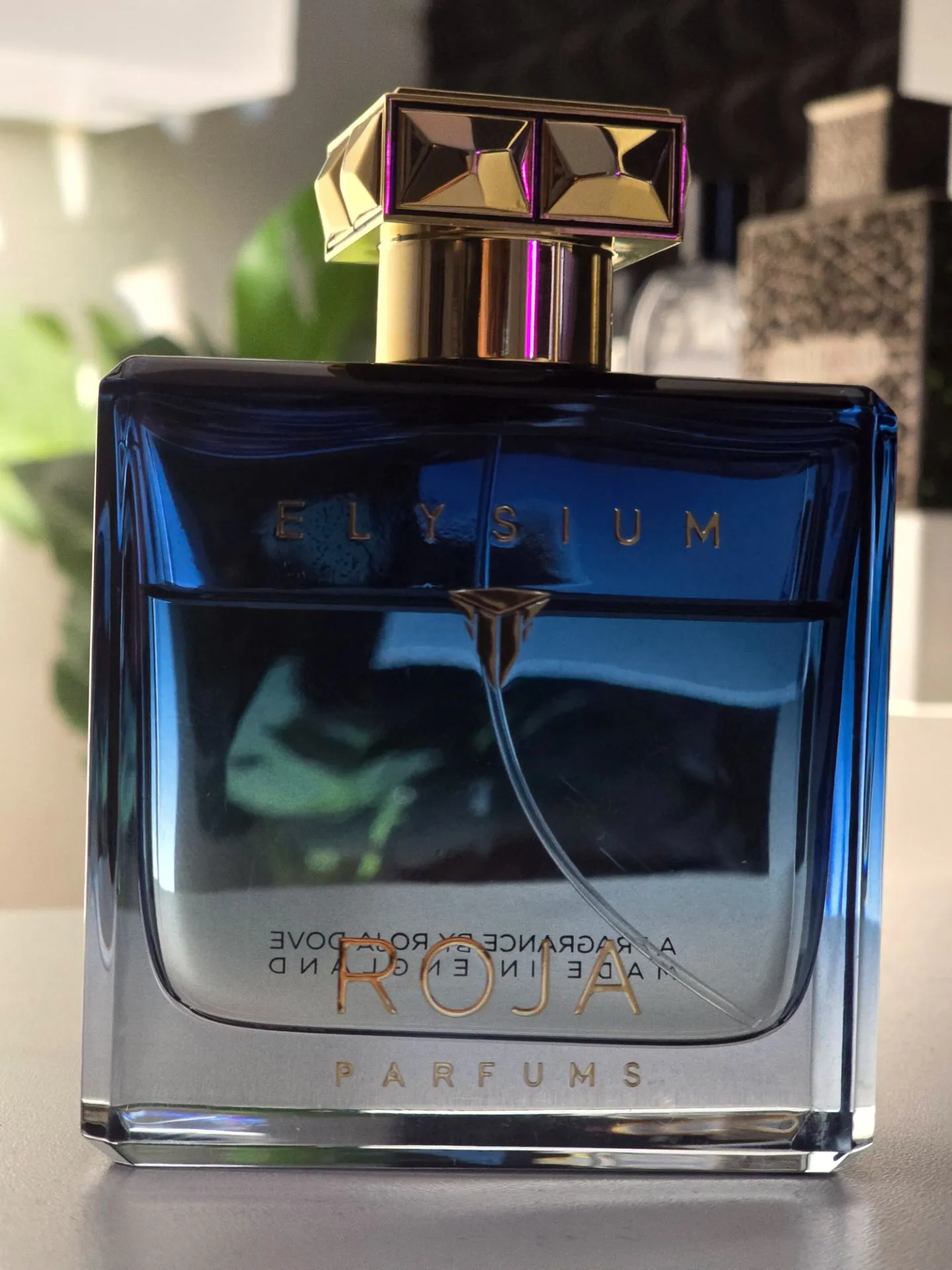 Elysium pour Homme